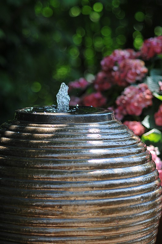 DSC_8524.JPG