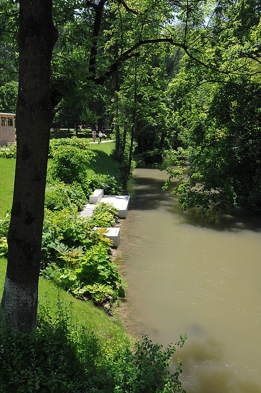 DSC_8560.JPG