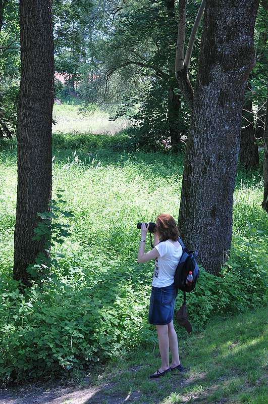 DSC_8612.JPG