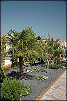 DSC_8476.JPG