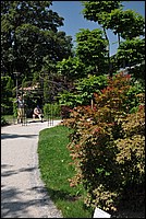 DSC_8509.JPG