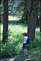 DSC_8612.JPG