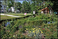 DSC_8657.JPG