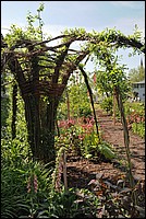 DSC_8661.JPG