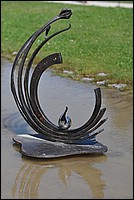 DSC_8682.JPG