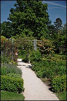 DSC_8689.JPG