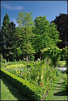 DSC_8695.JPG