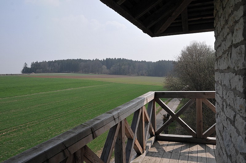 DSC_5477.JPG