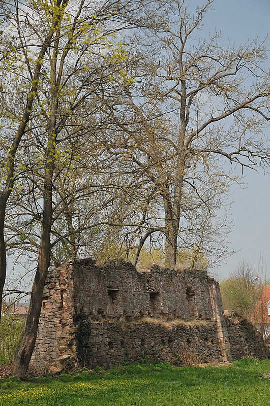 DSC_5565.JPG