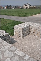 DSC_5536.JPG