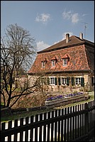 DSC_5564.JPG