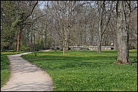 DSC_5579.JPG