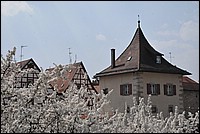 DSC_5603.JPG