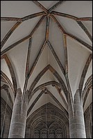 DSC_5667.JPG