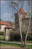 DSC_5673D.jpg