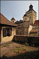 DSC_5686.JPG