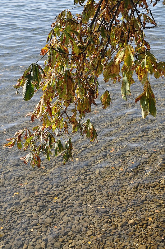 DSC_3361.JPG