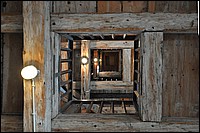DSC_3285D.jpg