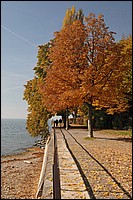 DSC_3339D.jpg