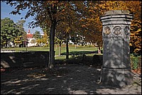 DSC_3370G.jpg