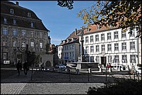 DSC_3441G.jpg