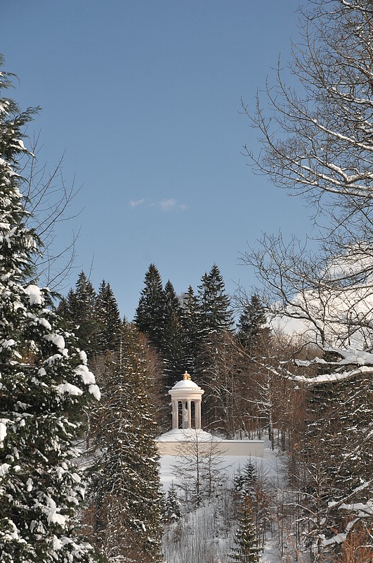 DSC_4263.JPG