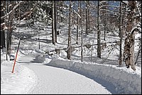 DSC_4124.JPG