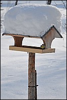 DSC_4165BG.jpg