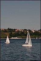 DSC_0234C.jpg