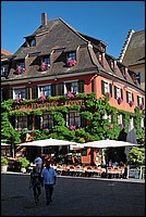 DSC_0247.JPG