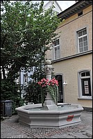DSC_9825.JPG