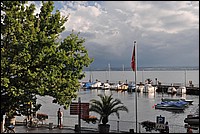 DSC_9868.JPG