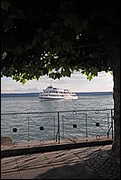 DSC_9895.JPG
