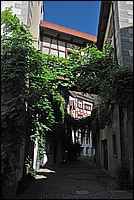 DSC_9943G.jpg