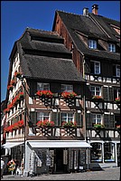 DSC_9945D.jpg