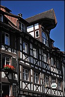 DSC_9947.JPG