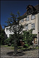 DSC_9950.JPG