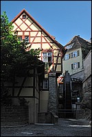 DSC_9968G.jpg