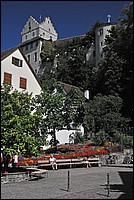 DSC_9980DG.jpg