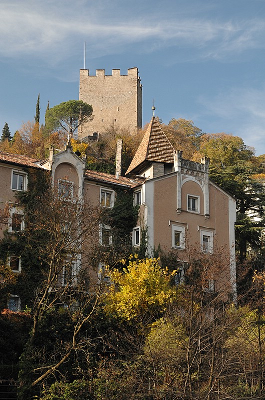 DSC_4173.JPG