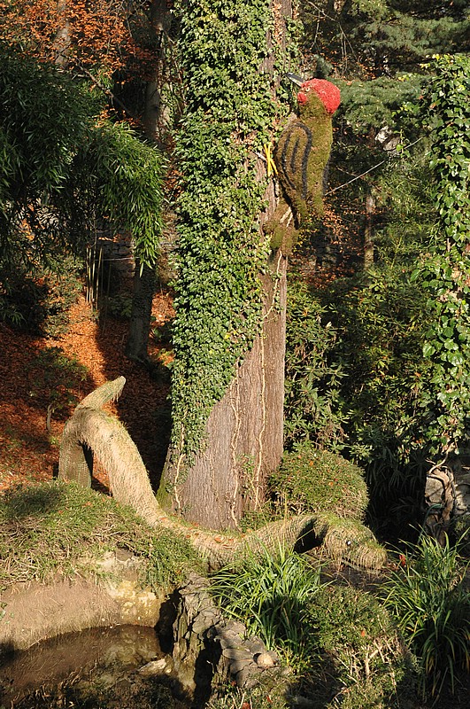 DSC_4214.JPG