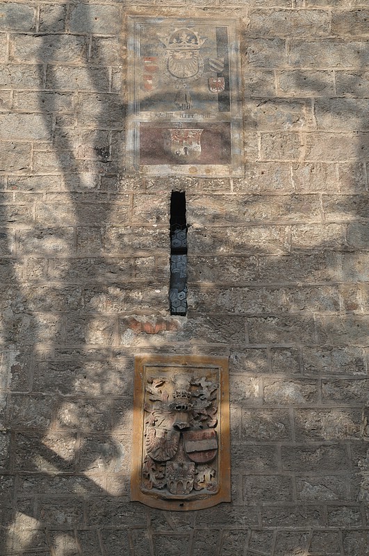 DSC_4307.JPG
