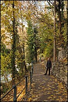 DSC_4168.JPG