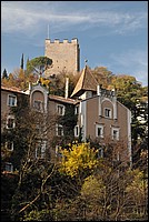 DSC_4173.JPG