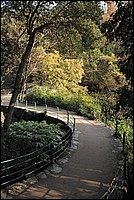 DSC_4217.JPG
