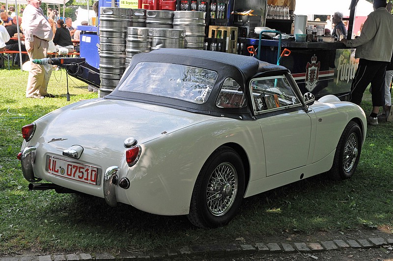 DSC_9813G.jpg