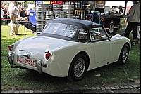 DSC_9813G.jpg