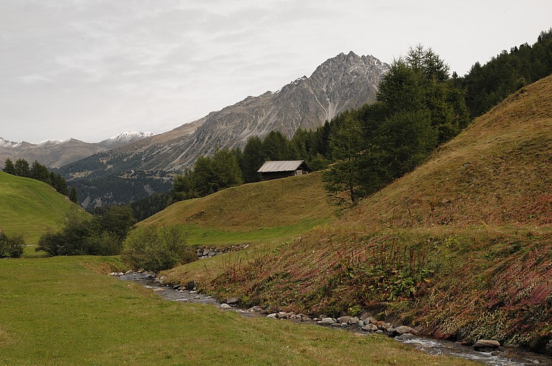 DSC_1951.JPG