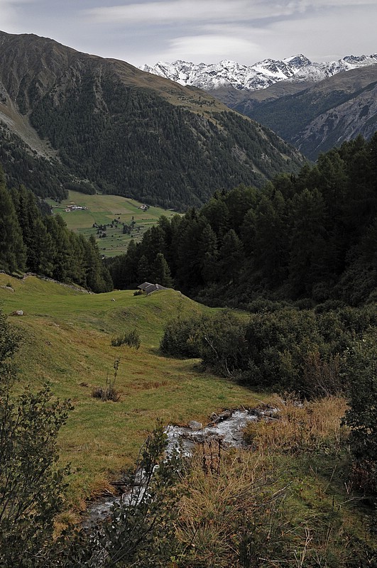 DSC_1956G.jpg