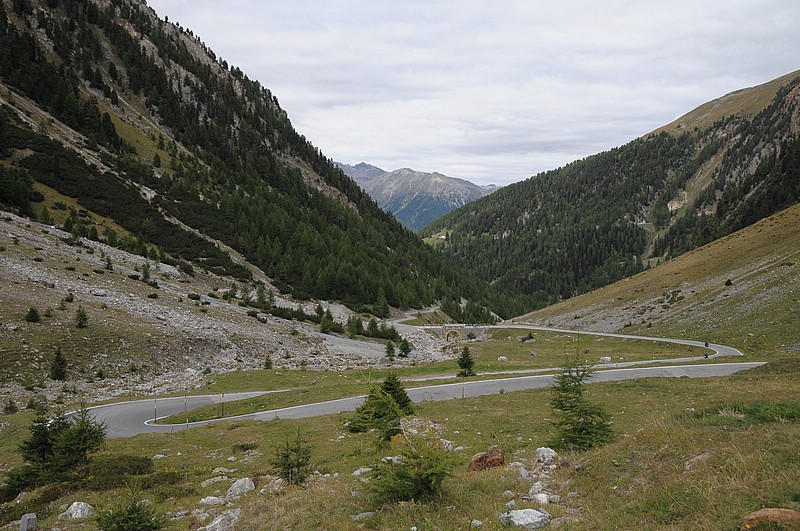 DSC_1993.JPG